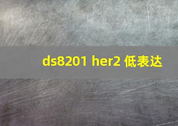 ds8201 her2 低表达